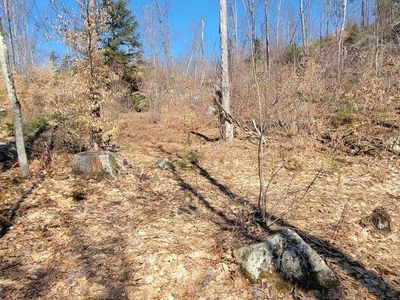 Lot 21 River Road, Phillips, ME, 04966