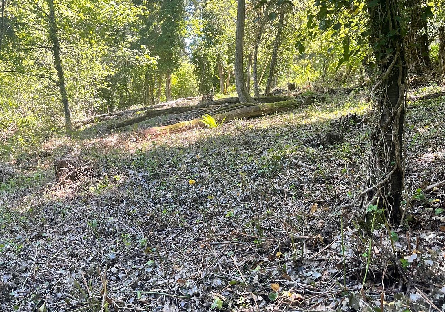 Lorane Hwy, Eugene, OR 97405 MLS 23178040 Zillow