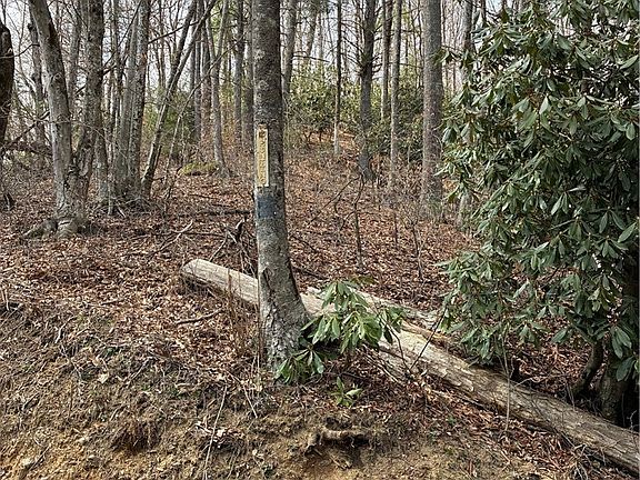 3rd image of TBD Meadowfork Road