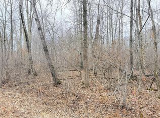 Lot 20 28 7/8 Avenue, Birchwood, WI 54817