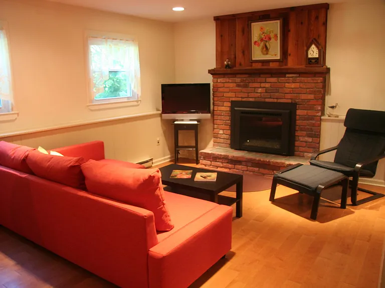 Open floor plan includes a living room with sofa that opens into a full-size bed with storage from bedding and pillows. Brick hearth houses a natural gas diamond fireplace insert. New heat pump above chair provides heat & AC. High speed WiFi & Cable TV.
