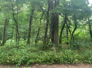 9250 Robbins Rd, Clarksville, MI 48815