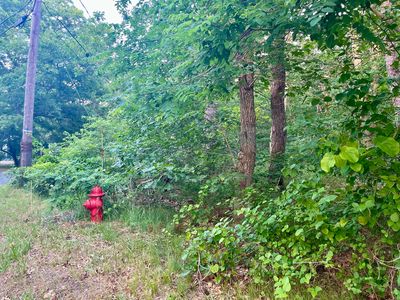 1080 Old Orchard Road, Eastham, MA, 02642