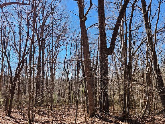 3rd image of 22 Devon Loop #22