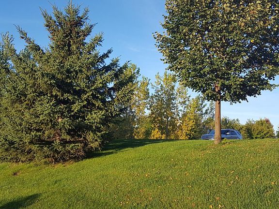 outside yard 3