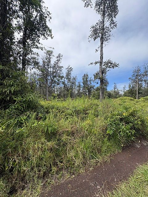 2nd image of Road 9 Koloa Maoli Lot 5366