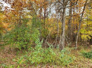 10053 Holly Ln, Stanwood, MI