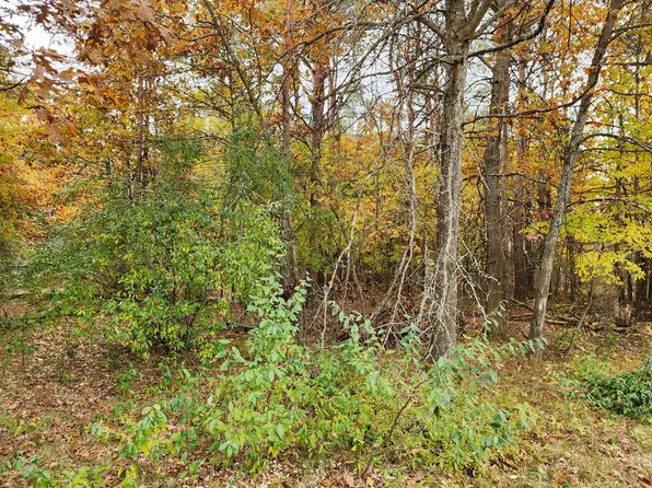 10053 Holly Ln, Stanwood, MI 49346