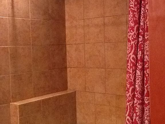 Master walk-in shower