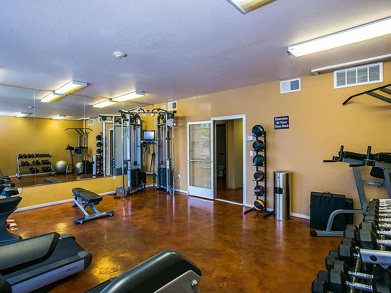 Free Weights