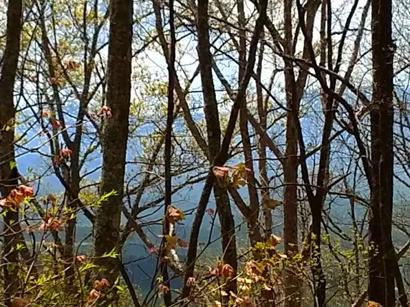 Stanley Stover Rd, Ellijay, GA 30536