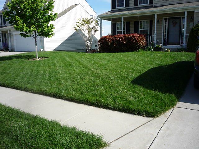 2nd image of 902 Glouster Cir
