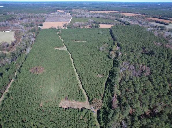 57.40 Acres-TBD Cades Rd., Cades, SC 29518