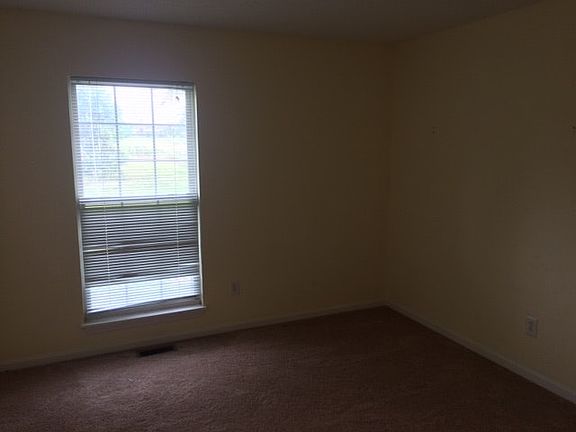 lots of windows