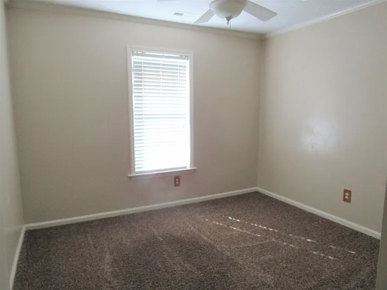 118 Carolina Pines Dr — Photo 5