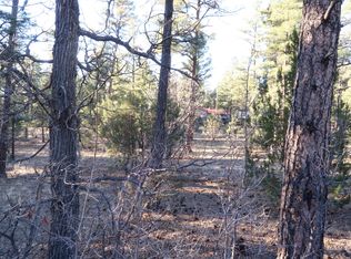 4790 W Hawthorn Rd, Show Low, AZ 85901