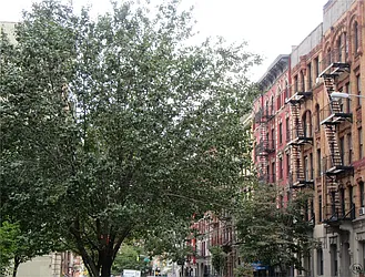 Rented by DSA Realty