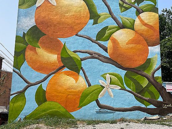 Orange Tree Mural