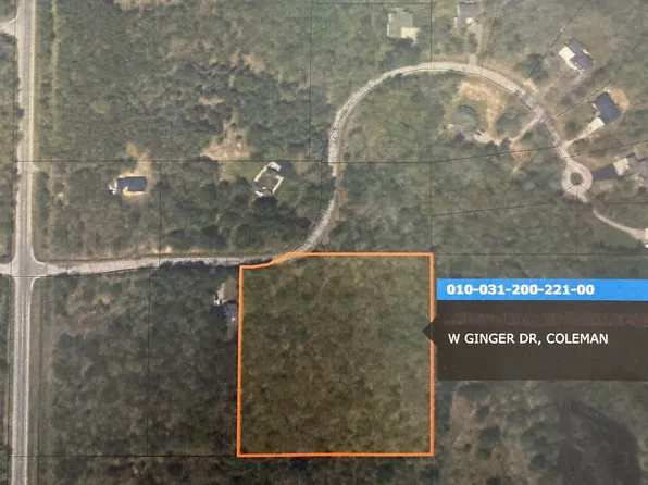 Ginger Dr, Coleman, MI 48618