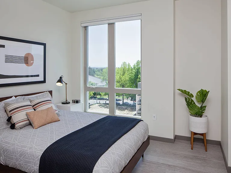 Light-Filled Rooms
