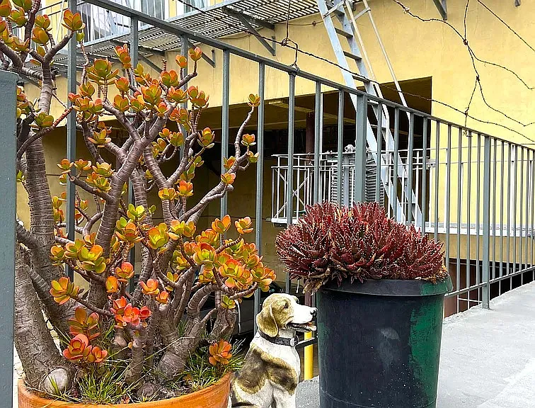 155 Haight — Photo 3