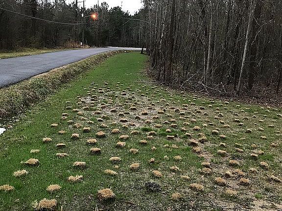 5th image of 440 Ponderosa Trl