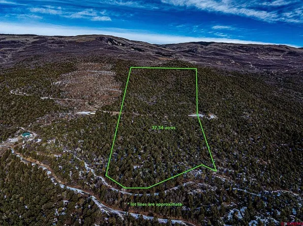 TBD Bear Slide Road, Cedaredge, CO 81413