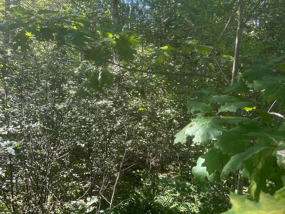 1st image of Lot 5 W Side Unionville Road
