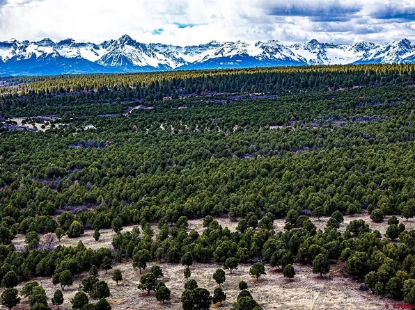 TBD Kendall Road, Montrose, CO 81403