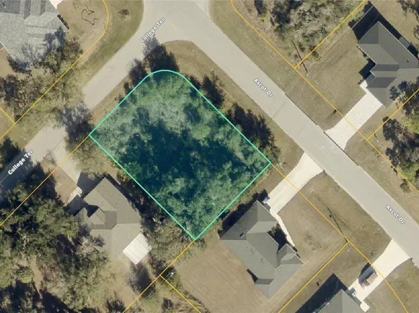 0969-06 College Ter #2801, North Pt, FL 34291