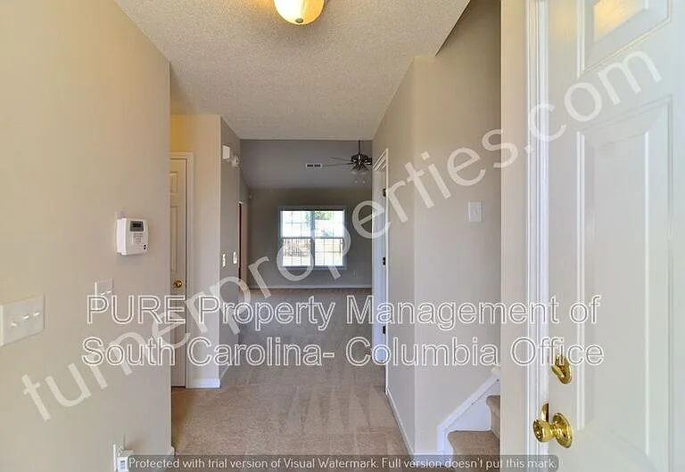 203 Summit Springs Dr — Photo 7