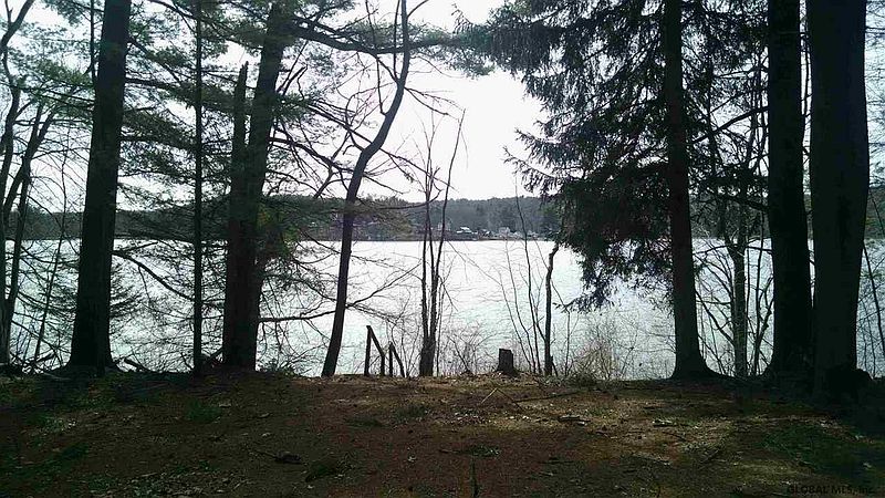2nd image of TALL PINES Way