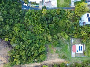 Bo Factor #2, Arecibo, PR 00612