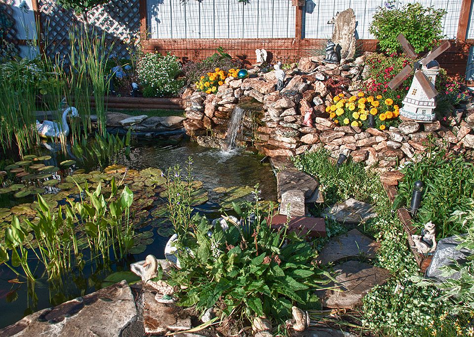 Pond & Waterfall in Backyard