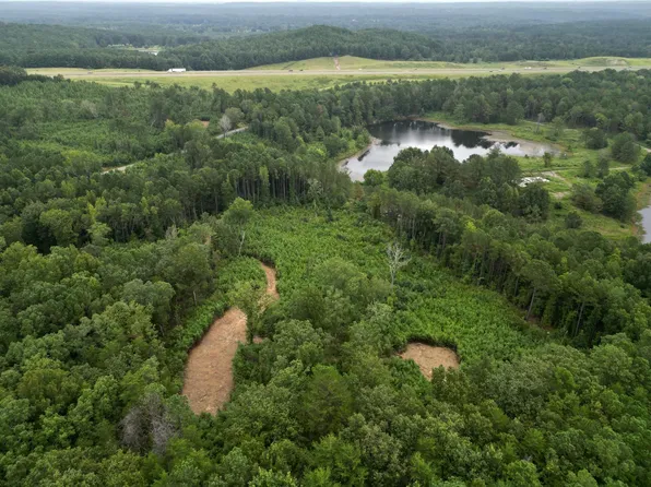 PARCEL Four Homestead Rd, Eldridge, AL 35554