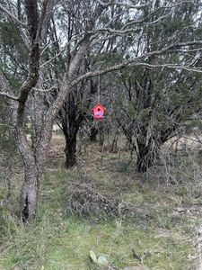 75 Coghill Dr, Graford, TX, 76449