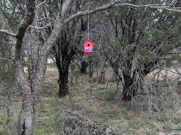 75 Coghill Dr, Graford, TX 76449