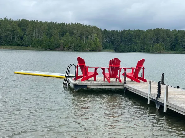 133 Island View Dr, Grey Highlands, ON N0C 1E0