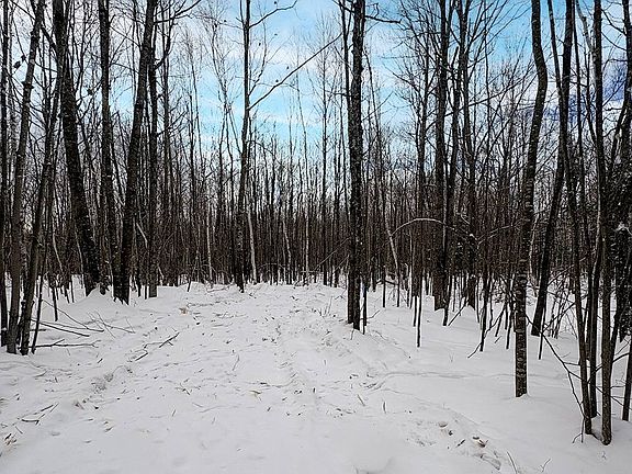 2nd image of 5 Log Lodge Rd