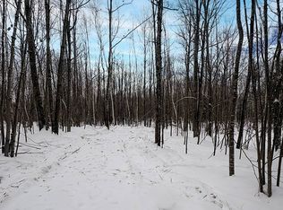 5 Log Lodge Rd, Winter, WI 54896