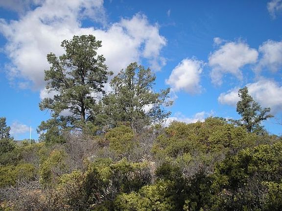 2nd image of 119 N Feather Plume Cir