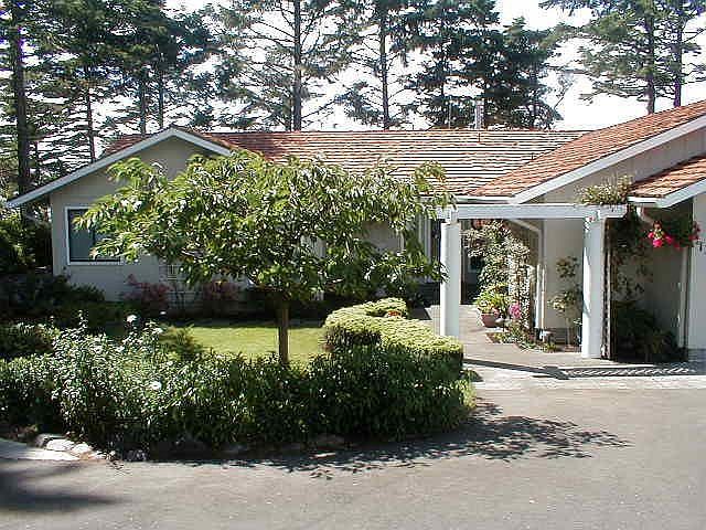 Front Yard