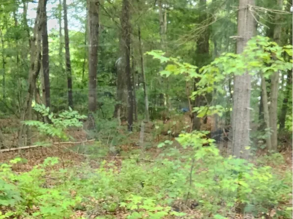 Oak Drive LOT 33, Mansfield, CT 06250