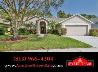 14713 Coral Berry Dr, Tampa, FL 33626