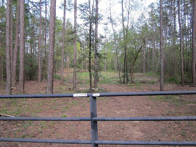 1st image of 158 Sugar Cane Ct
