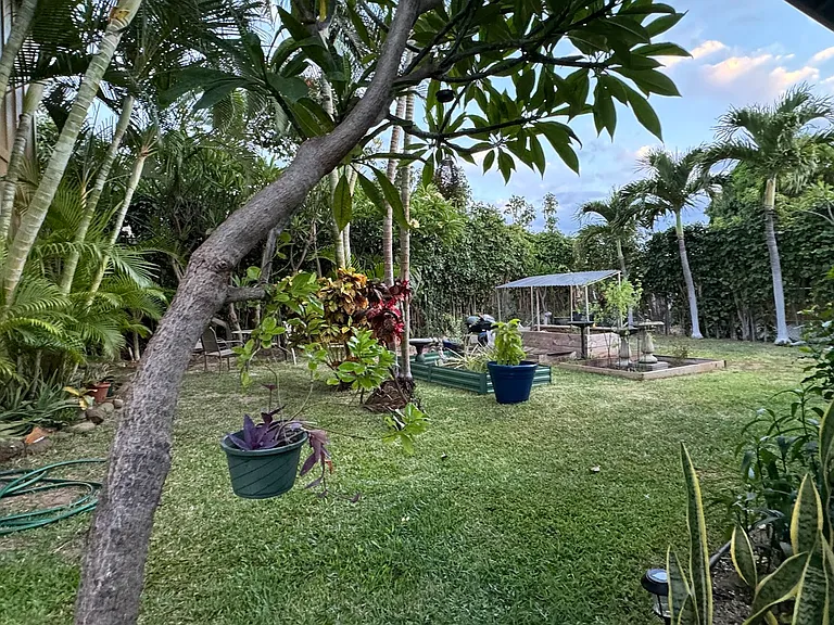 Kaikane Pl — Photo 15
