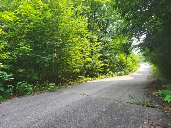 28 Cubs Way, Vanderbilt, MI 49795