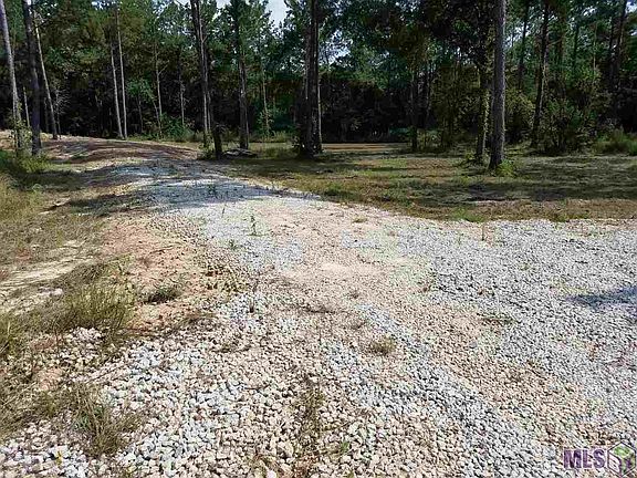 5th image of 32230 State Highway 1036