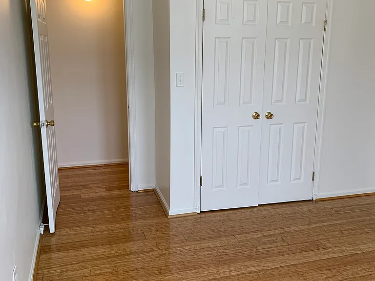 Entrance to First Bedroom with large closet.