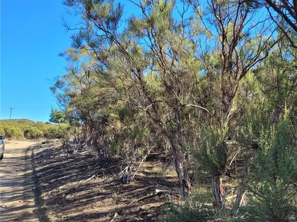 0 Scouts Lane Old Est, Anza, CA 92539